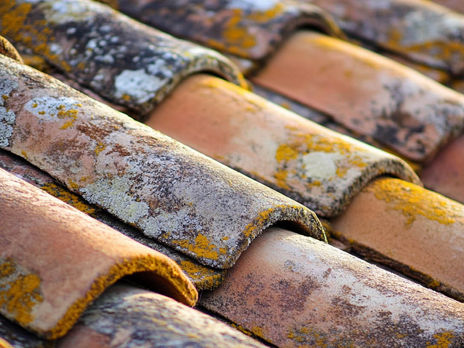 How to Identify and Avoid Common Roofing Scams