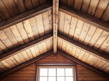 Why Ceiling Mold Is a Clear Sign You Need Roof Repairs