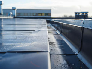 Protecting Roof Edges & Flashings: Sealants and Coatings