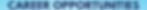 A banner with a soft blue gradient background featuring the bold dark-blue text "Career Opportunitiese” centered across the image.