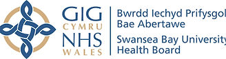 Swansea Bay logo.jpg