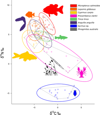 path3043.png