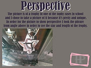 Perspective Small Trophy jpg.jpg