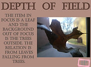 Depth of field leaf