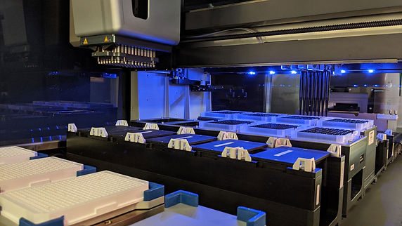 Hamilton Microlab STAR liquid handling robot deck with fresh tips.