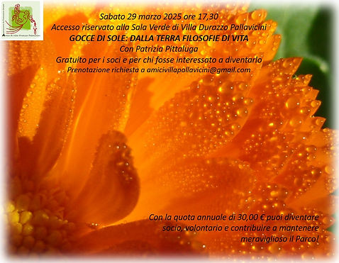 Immagine 2025-03-15 165217.jpg
