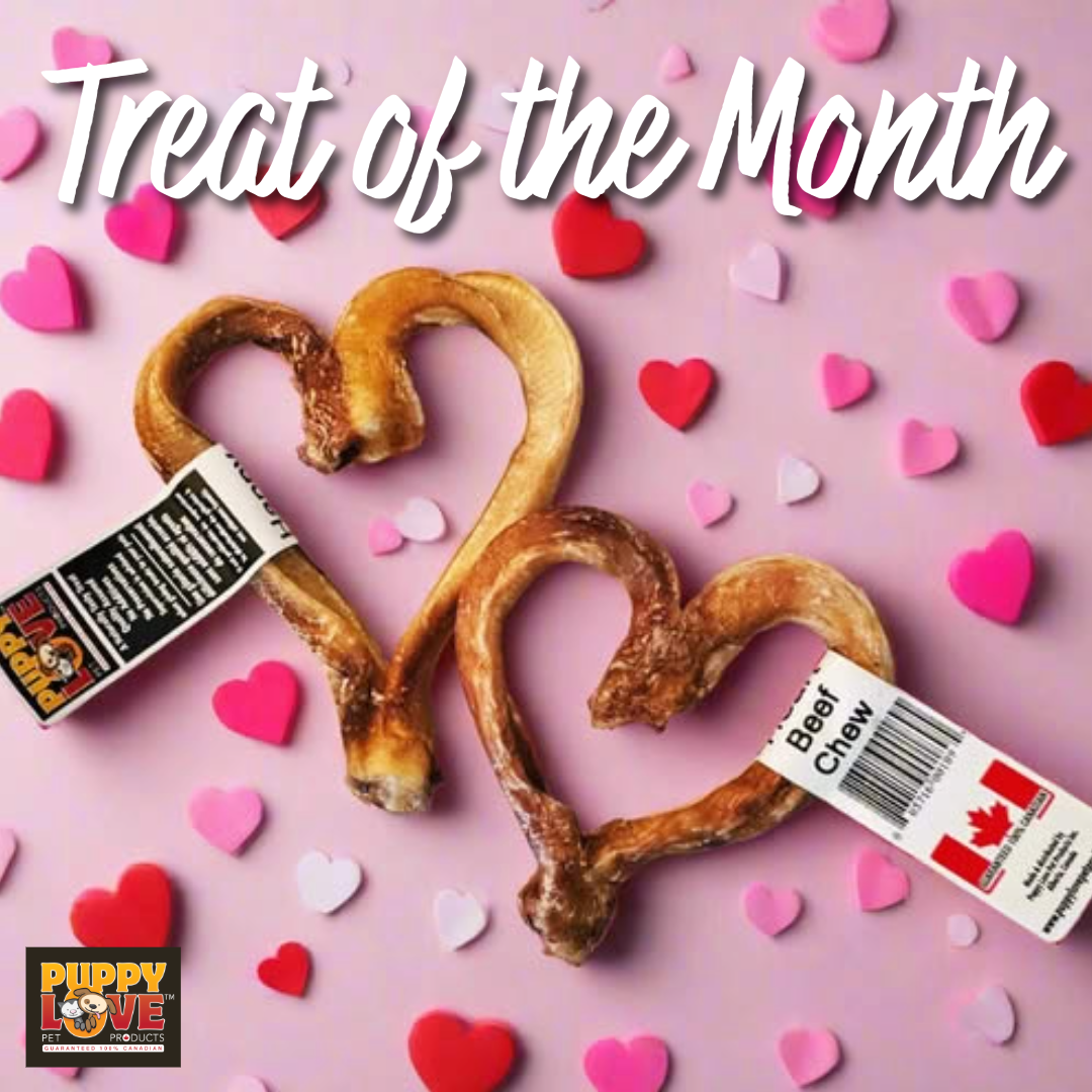 Treat of the Month