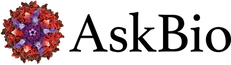AskBio-Logo-with-NoTagline_Black_Small (002).png