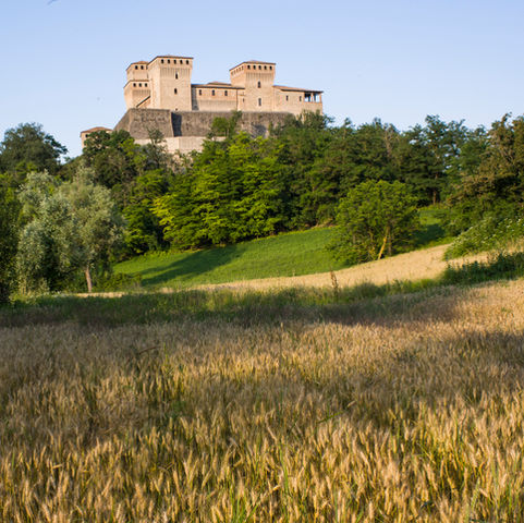 Paesaggio collinare dell Area Tutelata con vista sul Castello di Torrechiara