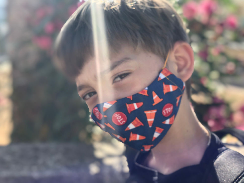 Custom Face mask #2 Shaped style,  Adjustable face cover Handmade by TomToy