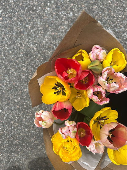 SEAU tulipes.jpeg