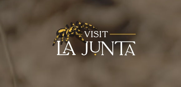 Tarantula Fest