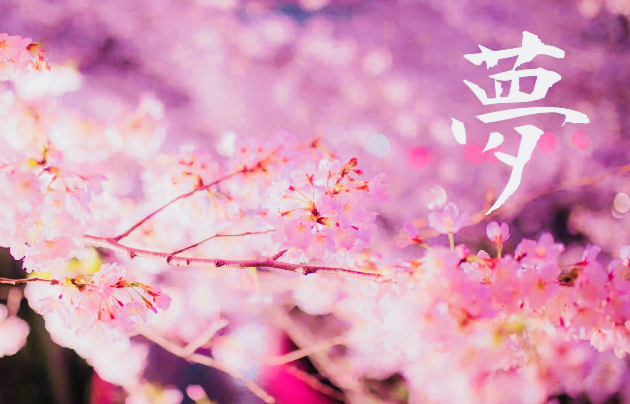 アシストゆめ塾| 矢上| 東長崎