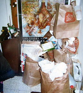 Kitchen Garbage.jpg