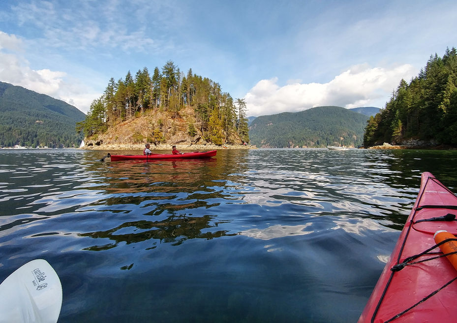 A photo of an inlet from a kayak. © Cristina Toso / Komorebi-Toso