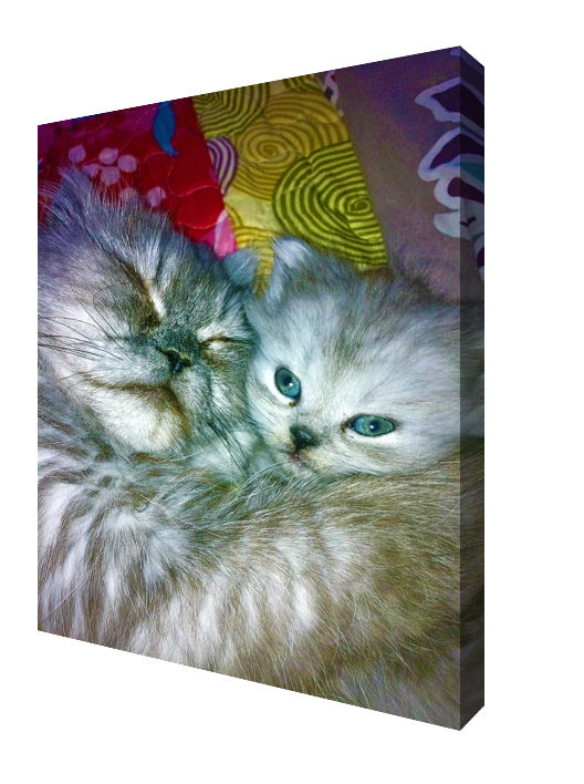 Miniature : Tirage d'Art "Pouki et Fille"