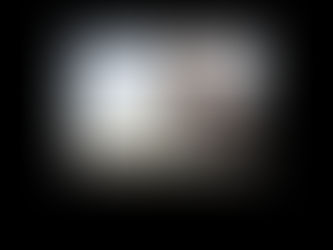 Behind the Hedgerows has it all!