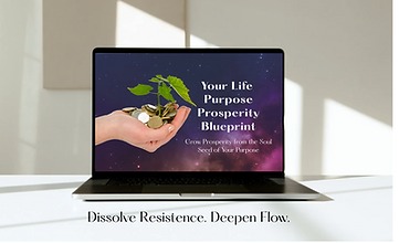 Screenshot 2025-07-17 at 4.01.24 PM.png