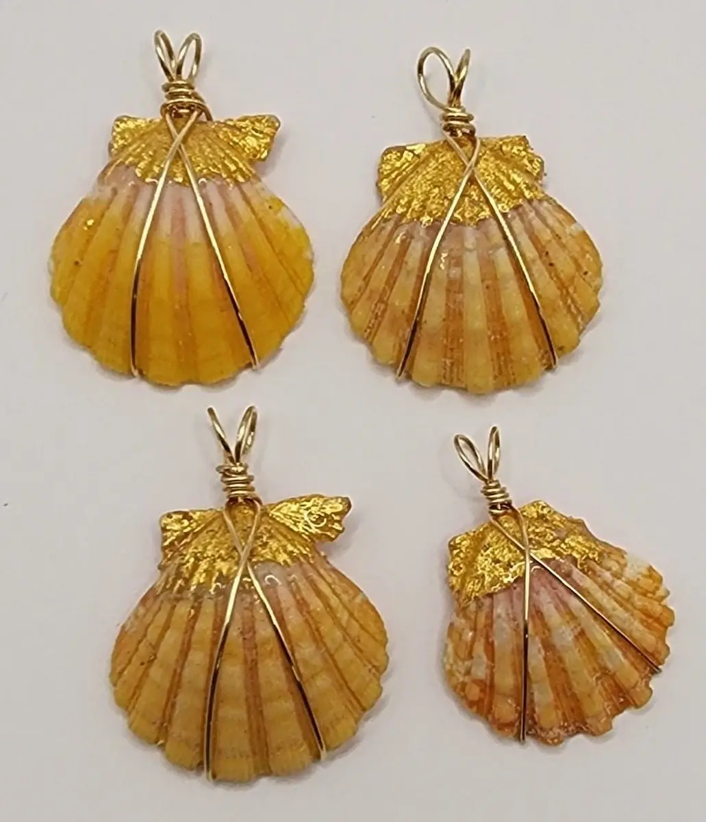 Wire Wrapped Sunrise Shells 24k Gold Gilding