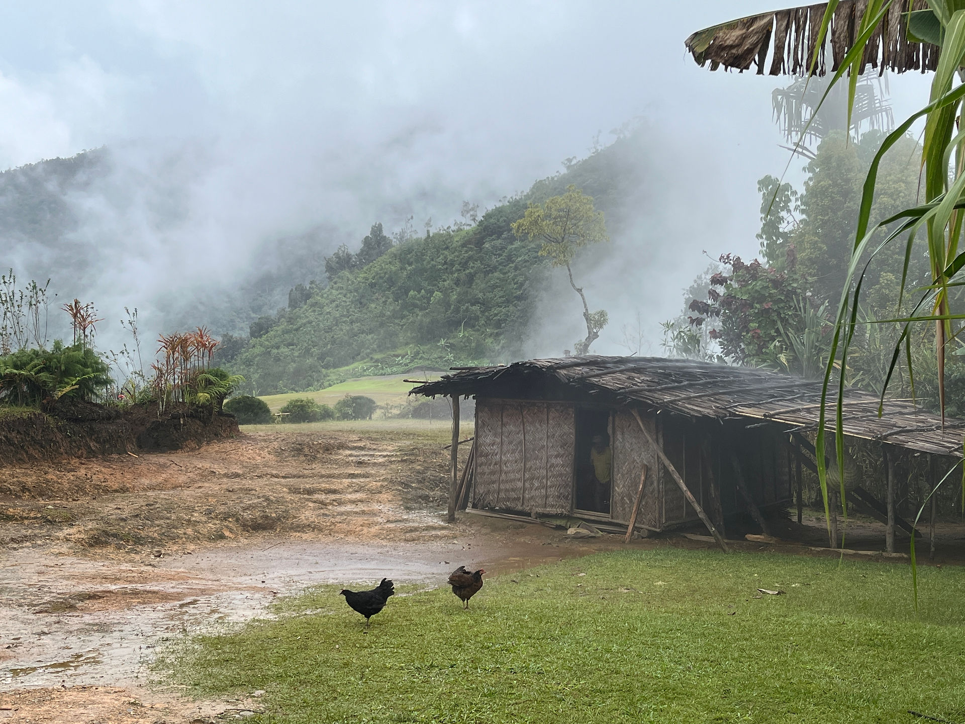A Simbai House in the Clouds