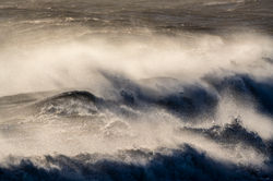 wave18 fifeness 271121