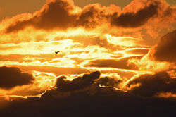 sunrise02 tentsmuirpoint 191120