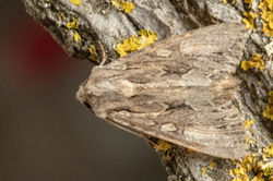 darkarches01 kedlockfeus 140721