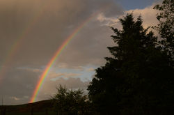 rainbow02 kedlockfeus 030617