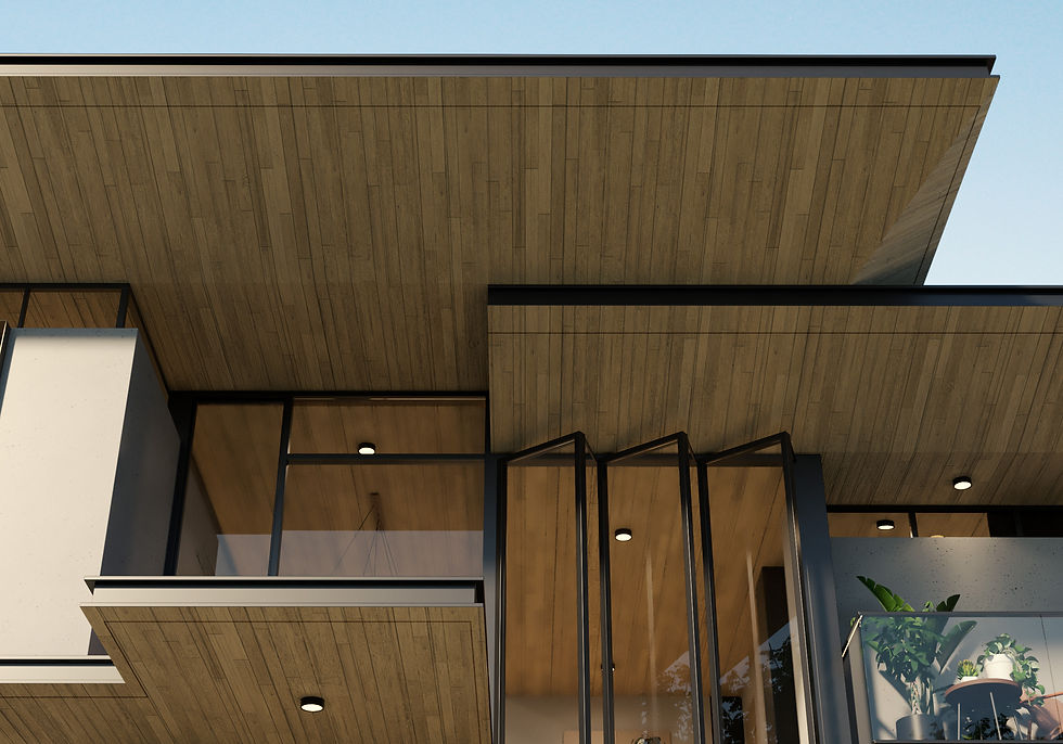BLOWUP HOUSE A WM.jpg