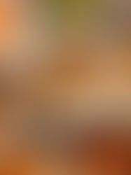 British vs. American Chinese Takeaway: 5 Key Differences in Dishes and Culture