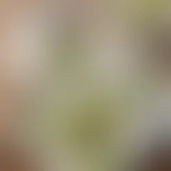 What Do Chinese People Eat for Breakfast? A Full Guide to Traditional Morning Dishes