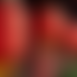 What Not to Do During Chinese New Year According to Tradition