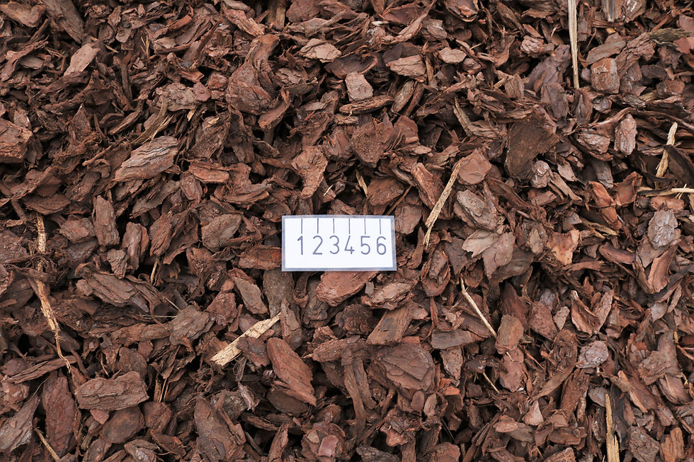 Thumbnail: XL Pine Bark Nuggets