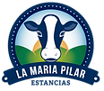 Marca-2019.png