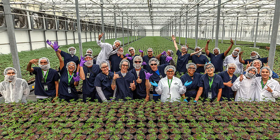 BN_CuraleafFlorida-7484_cropped_d9675b716b.webp