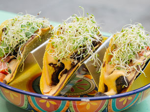 🌿 National Wellness Month: Prioritize Your Health with Earthy Picks Vegan