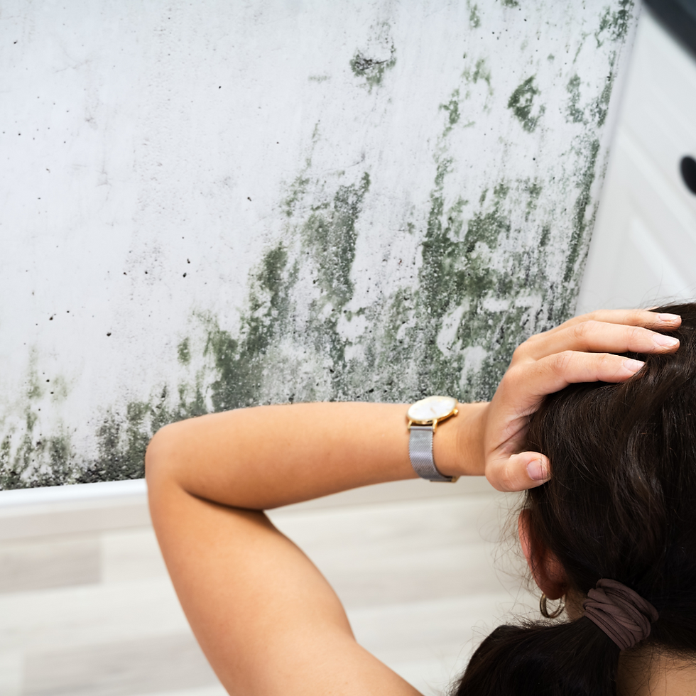 This blog highlights the top 5 warning signs of hidden water damage in homes, including odors, stains, bubbling paint, and mold. Aimed at Saint Cloud homeowners, it offers expert advice and a call to action for free inspections from M&R Solutions Group.
