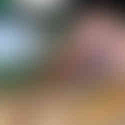 Live music, wings, and game day hype — this week at Wing Shack Orlando has it all. From Friday and Saturday concerts to Sunday’s Eagles vs Rams watch party, the vibes (and wings) are unmatched.