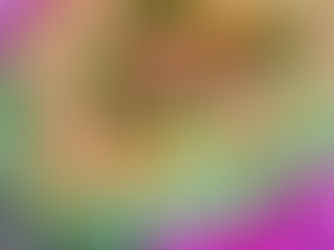 Seamless Sushi Catering in Orlando