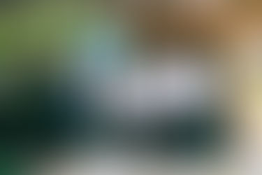 Your Trusted Partner in Securing a Brighter Future: Power Insurance Financial