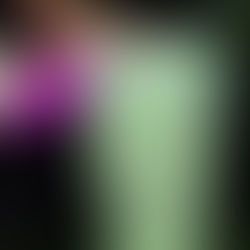 The Wings. The Vibes. The Unmatched Experience.