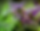 Screenshot 2024-02-20 at 10.44.11 PM.png
