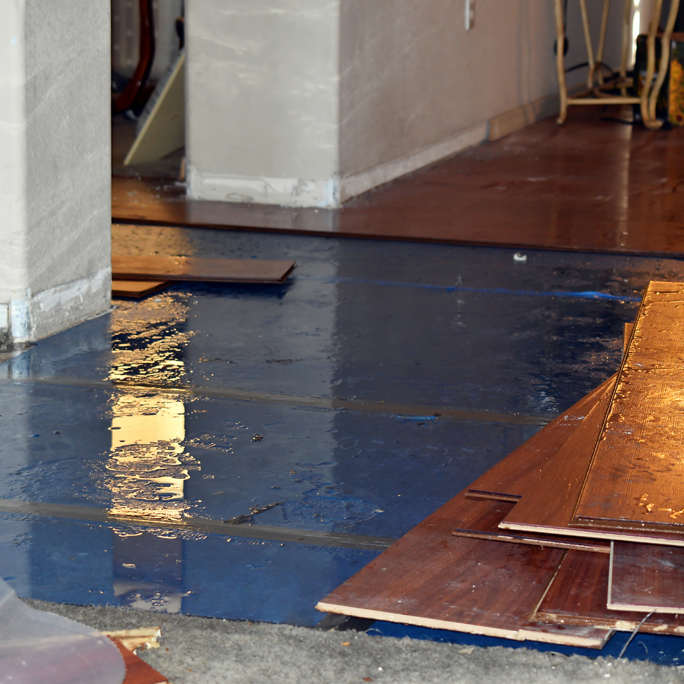 Over 500 homes restored and $1M recovered in claims. MR Solutions Group protects & restores your home with certified experts. Call now: 813-476-2560
