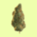 Screenshot 2024-02-20 at 10.36.58 PM.png