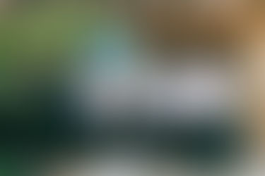 Your Trusted Partner in Securing a Brighter Future