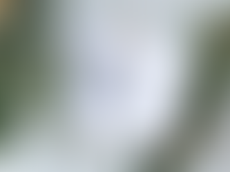 Temperance: A Key Element to Health