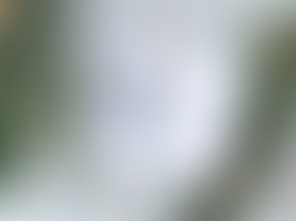 Temperance: A Key Element to Health