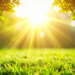 So Let the Sun Shine In