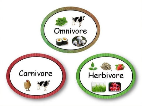 Carnivore, Herbivore, or Omnivore?
