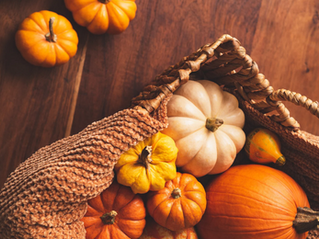 Pumpkin Is More Than Pumpkin Pie
